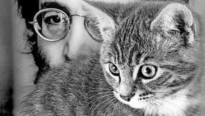 16 Котки джон ленън: обичай живота